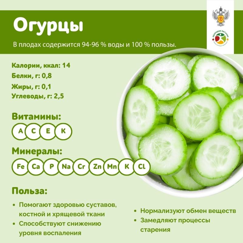 Огурцы - богатый источник витамина K